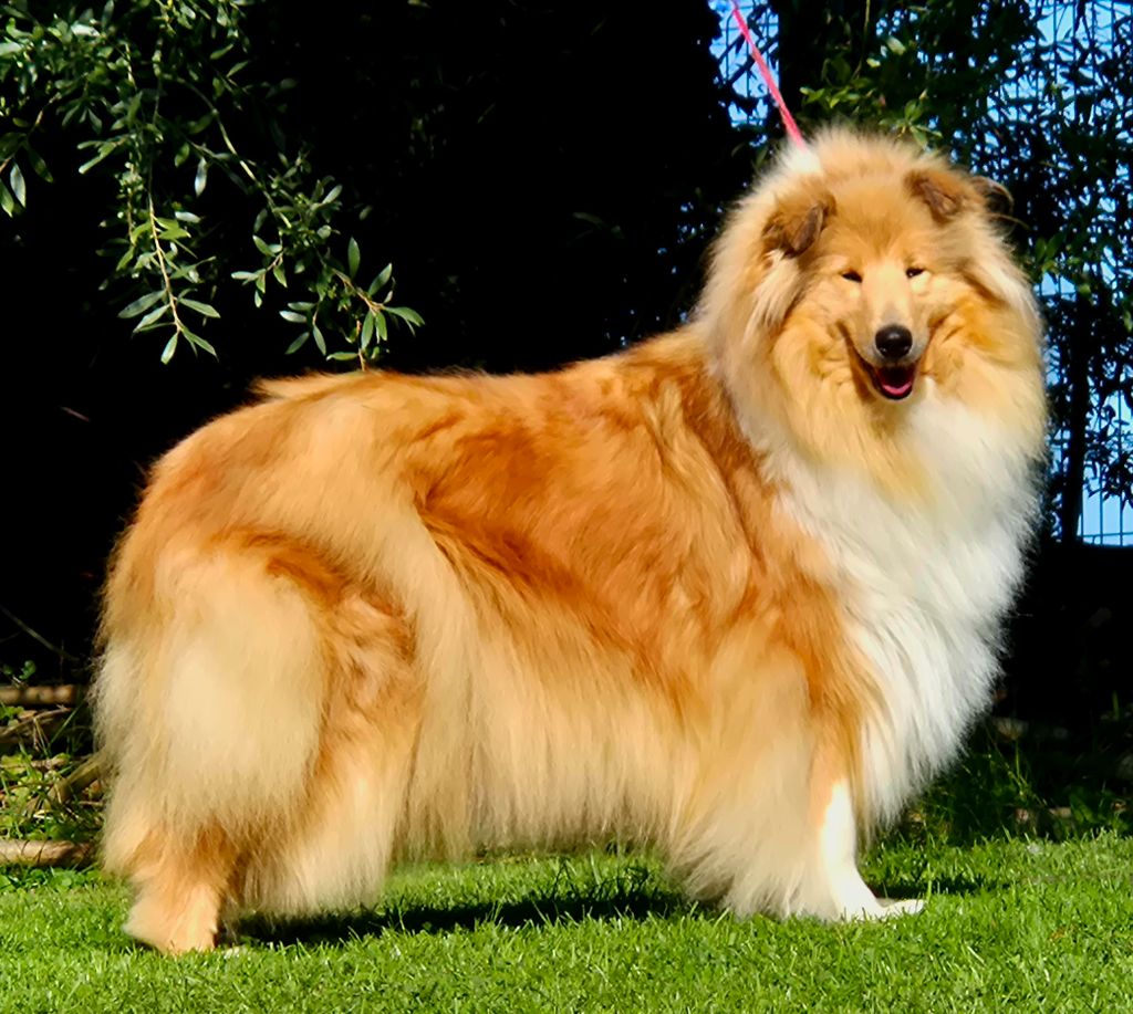 Publication : Du Clos De Seawind Auteur : Gilles MERVANT