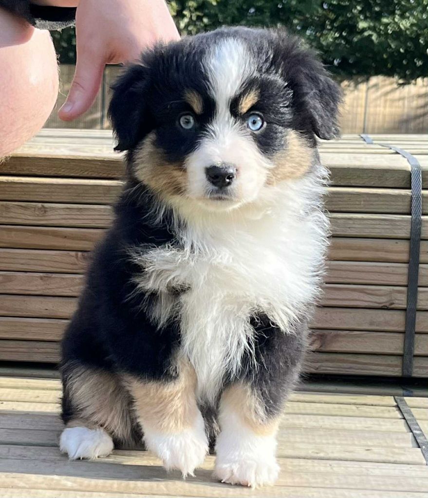 Publication : Du Domaine De Nirémione 