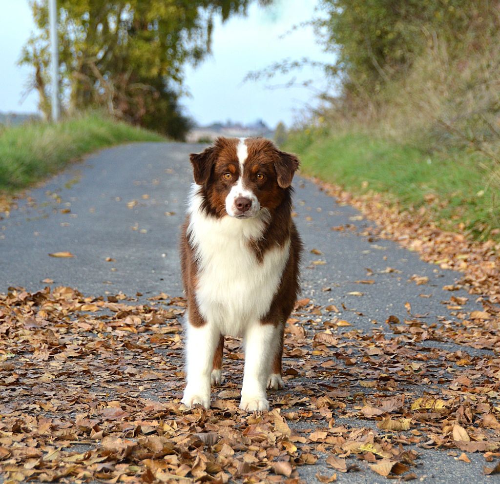 Publication : du domaine de Keops