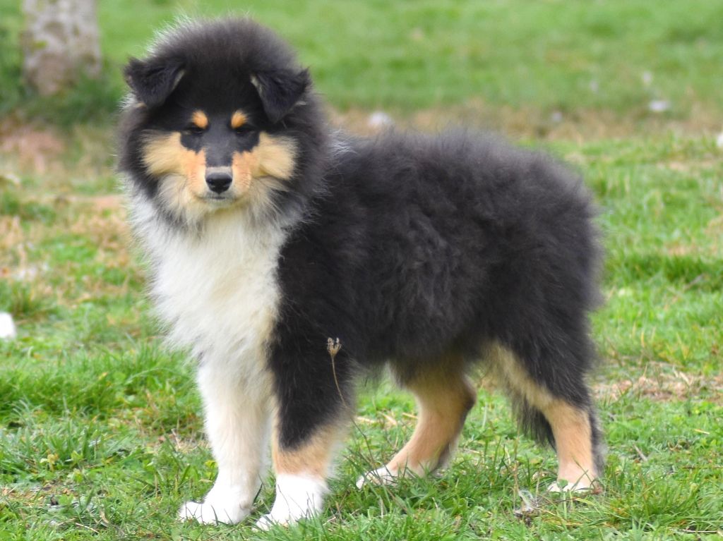 Publication : du domaine des Emeraudes 