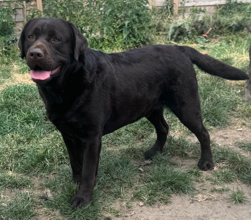 Publication : (Sans Affixe) Auteur : Adeline Teixeira