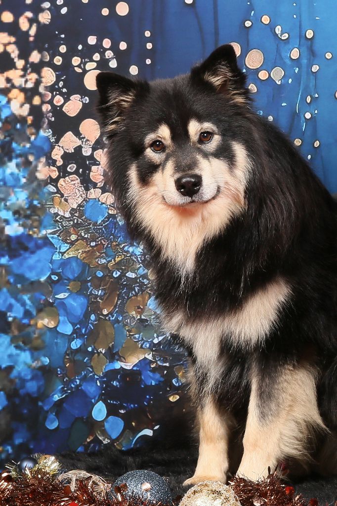 Publication : (Sans Affixe)