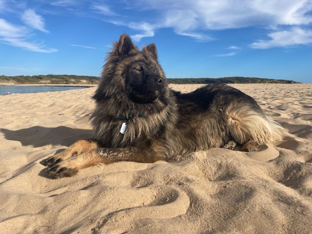 Publication : Des Perles De L'Est 