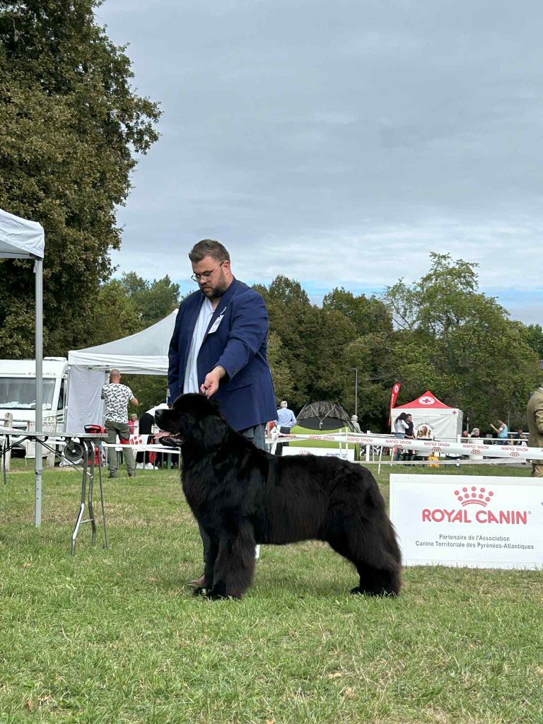 Publication : (Sans Affixe)