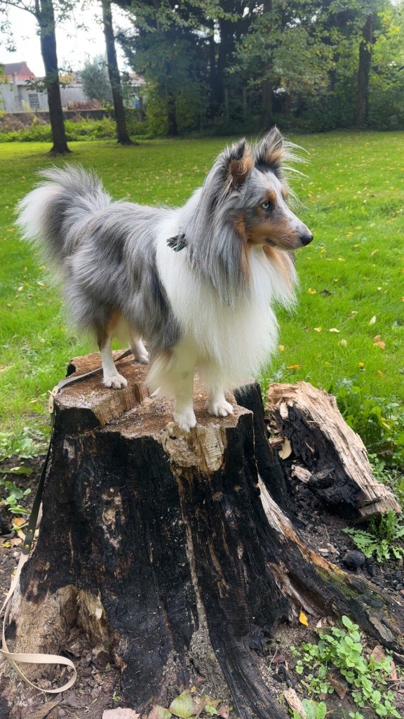 Publication : Justine Leporcq 