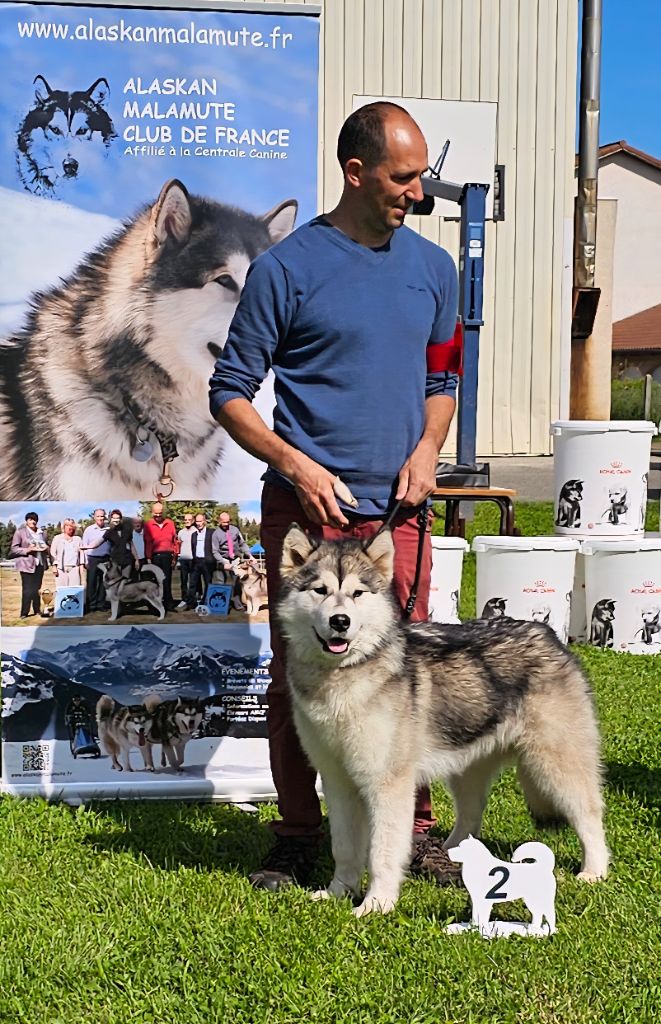 Publication : From White Mountain Lapland 