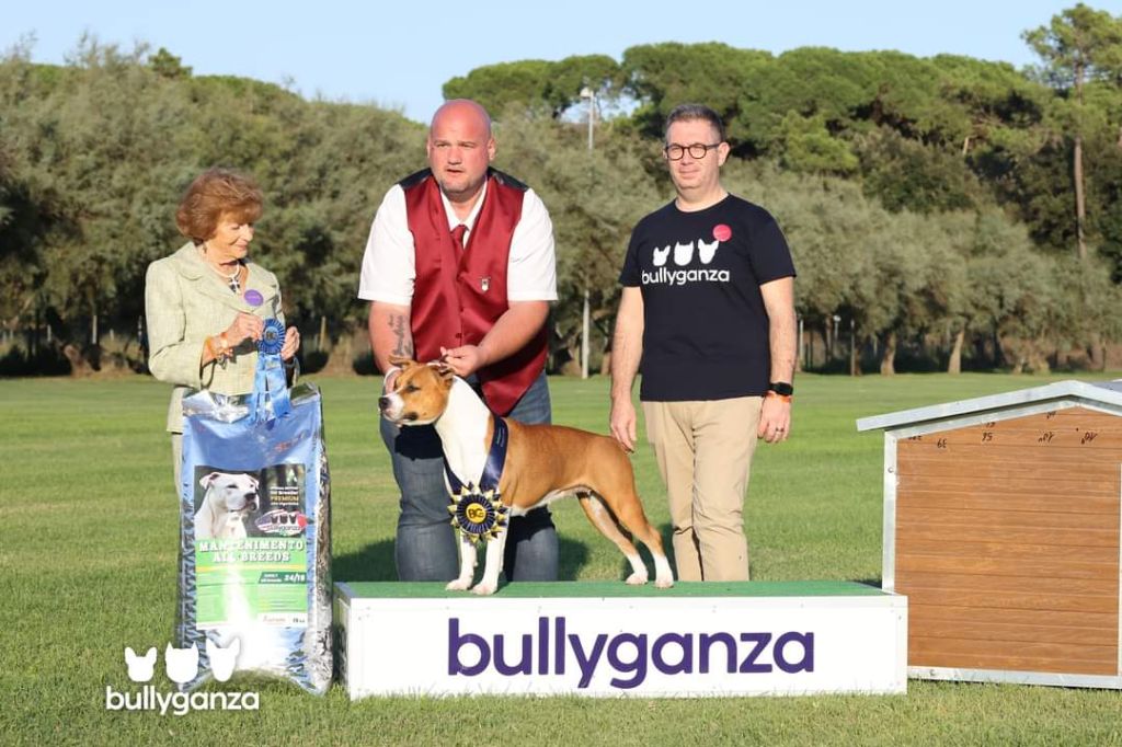 Publication : of Walker red kennel 