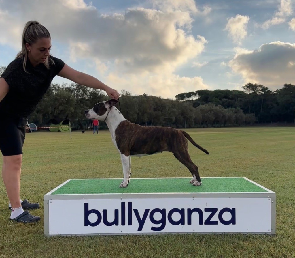 Publication : The Elder Blood 