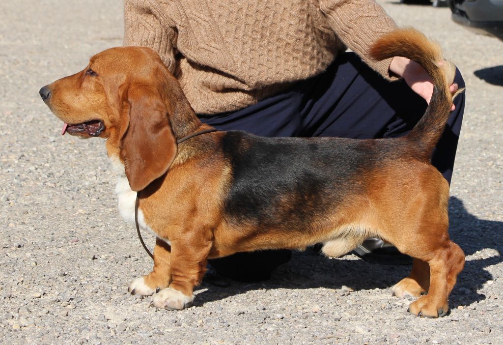 Publication : Des Poe D'Hina