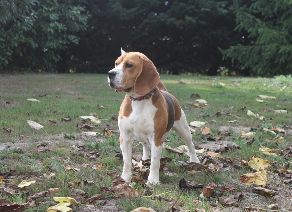 Publication : du clos du bonheur 