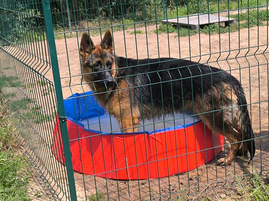 Publication : des Seigneurs du Val d'Amour