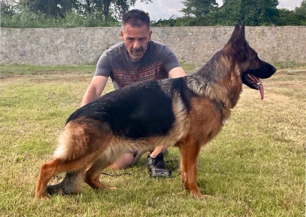 Publication : du Meolion Auteur : MylÃ¨ne