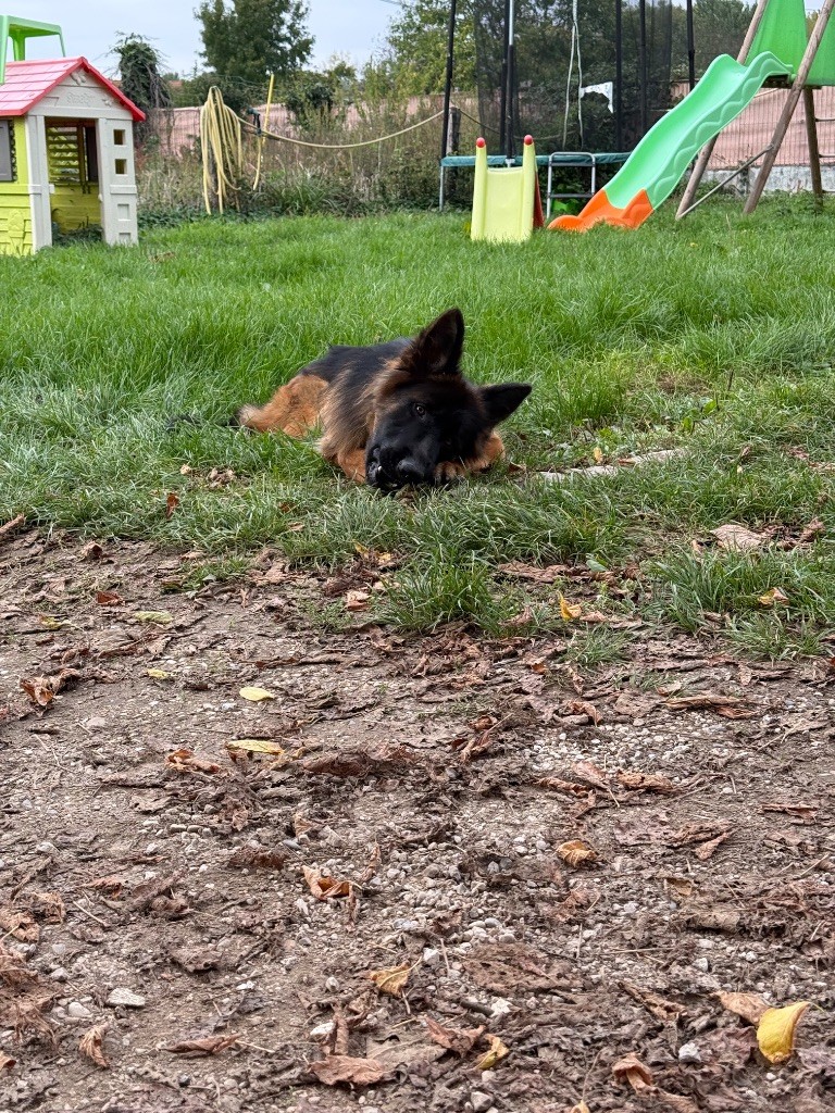 Publication : du Domaine de Milk 