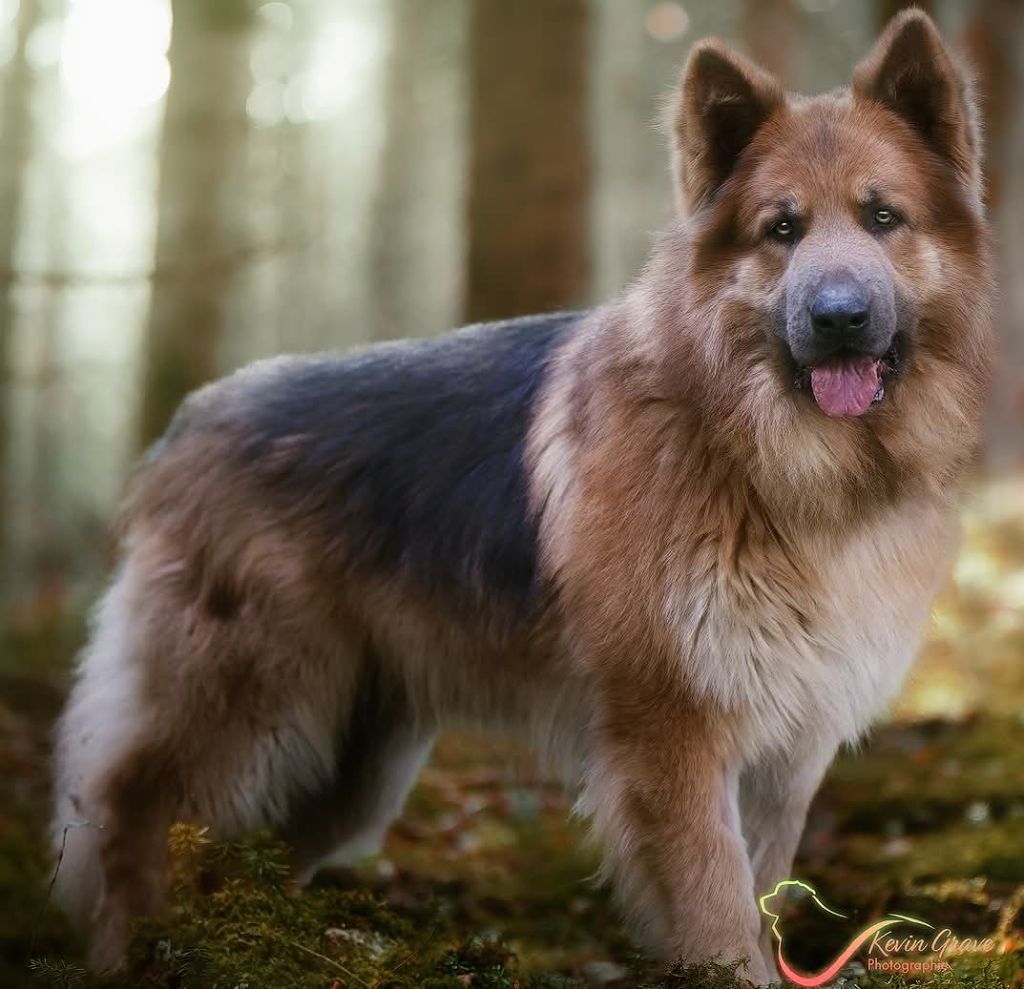 Publication : (Sans Affixe) Auteur : Patricia DUMONT