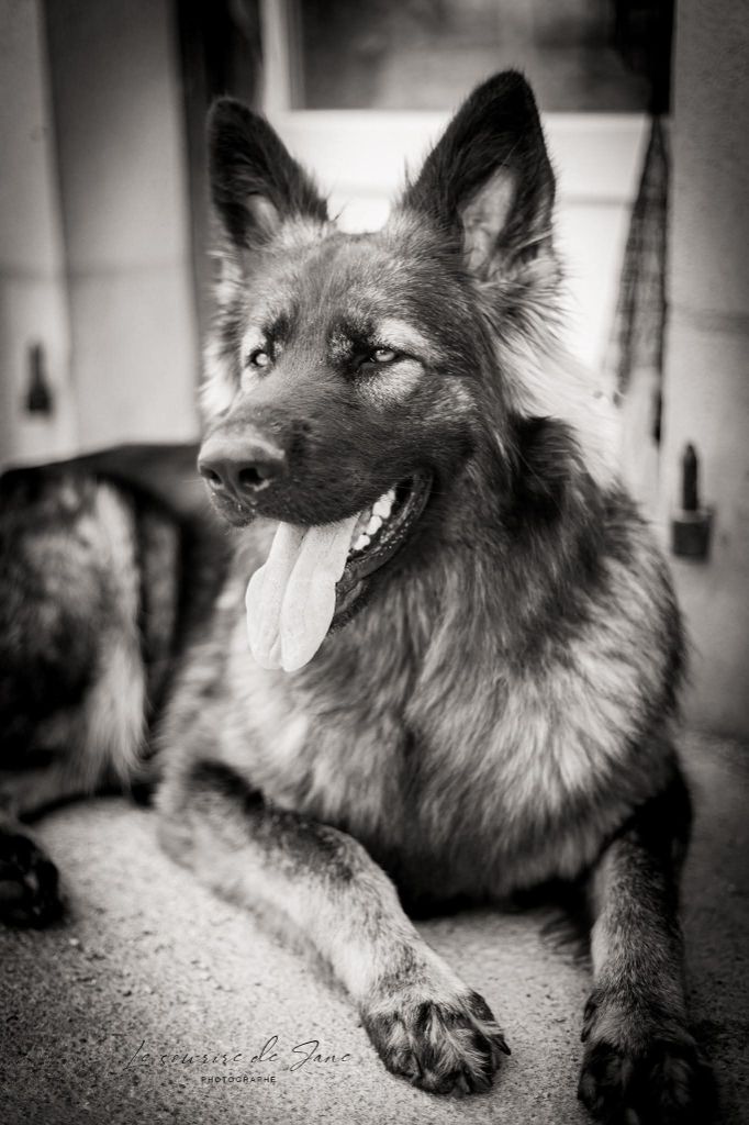 Publication : (Sans Affixe) Auteur : Patricia DUMONT