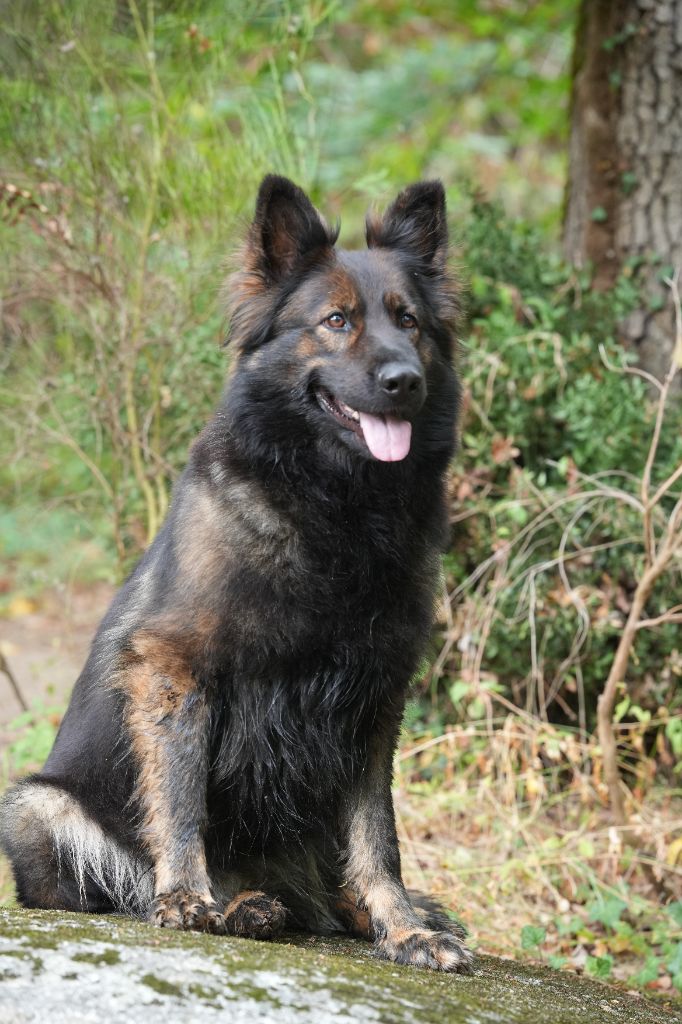 Publication : (Sans Affixe) Auteur : Patricia DUMONT