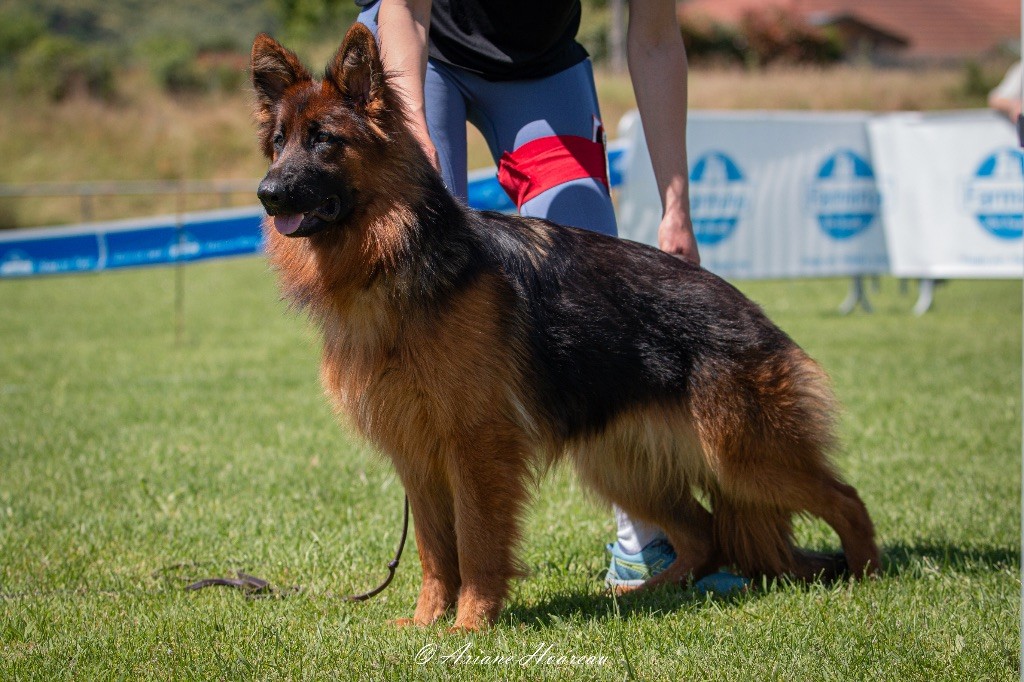 Publication : du Domaine de Milk 