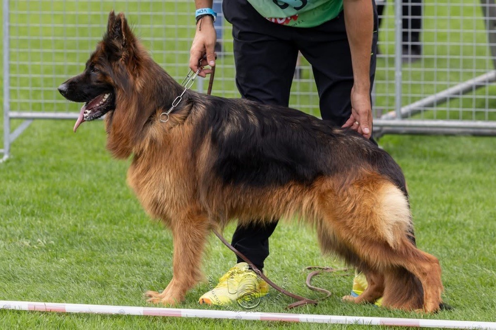 Publication : Légitime Démence 