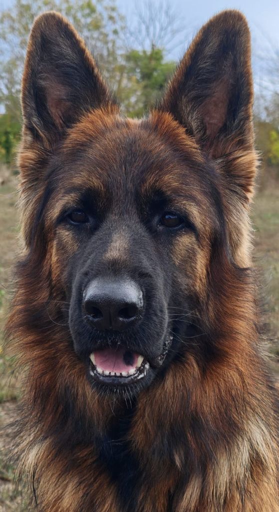 Publication : du domaine de janasse Auteur : Mme Bonet Christine