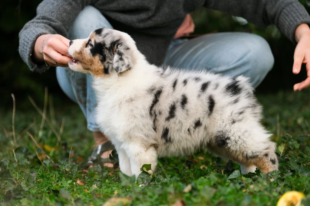 Publication : Du Tipi Farfelu Auteur : Tipi Farfelu