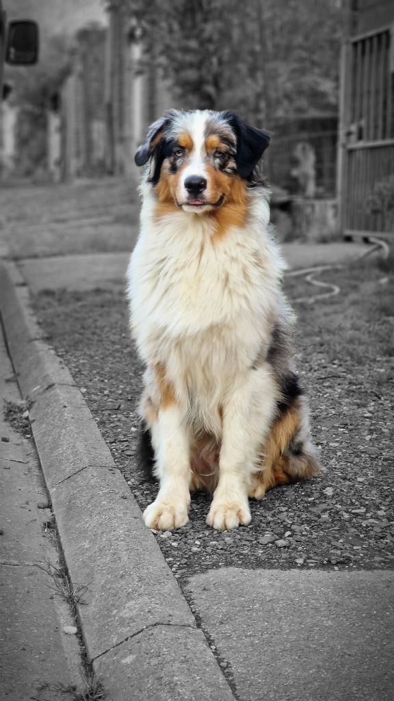 Publication : Of Jamandco