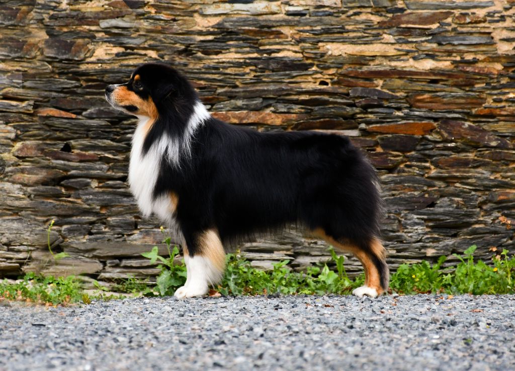 Publication : du chemin de la belle etoile 