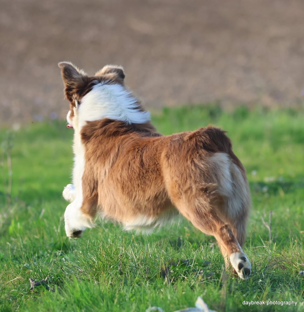 Publication : des Rivages du Lemboulas 