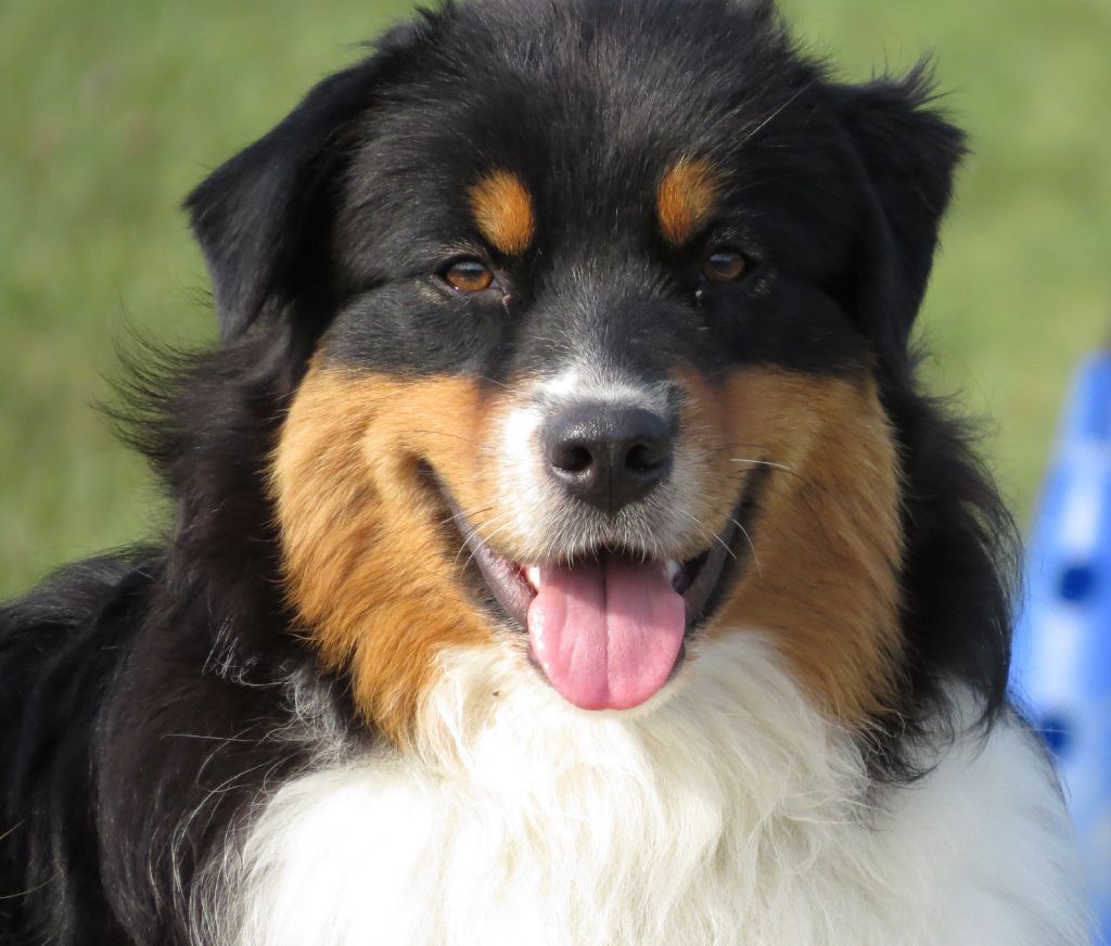 Publication : Des Rêves De Cassiopée