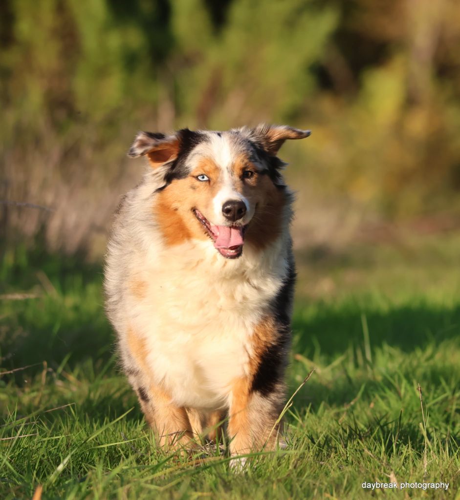 Publication : des Rivages du Lemboulas 