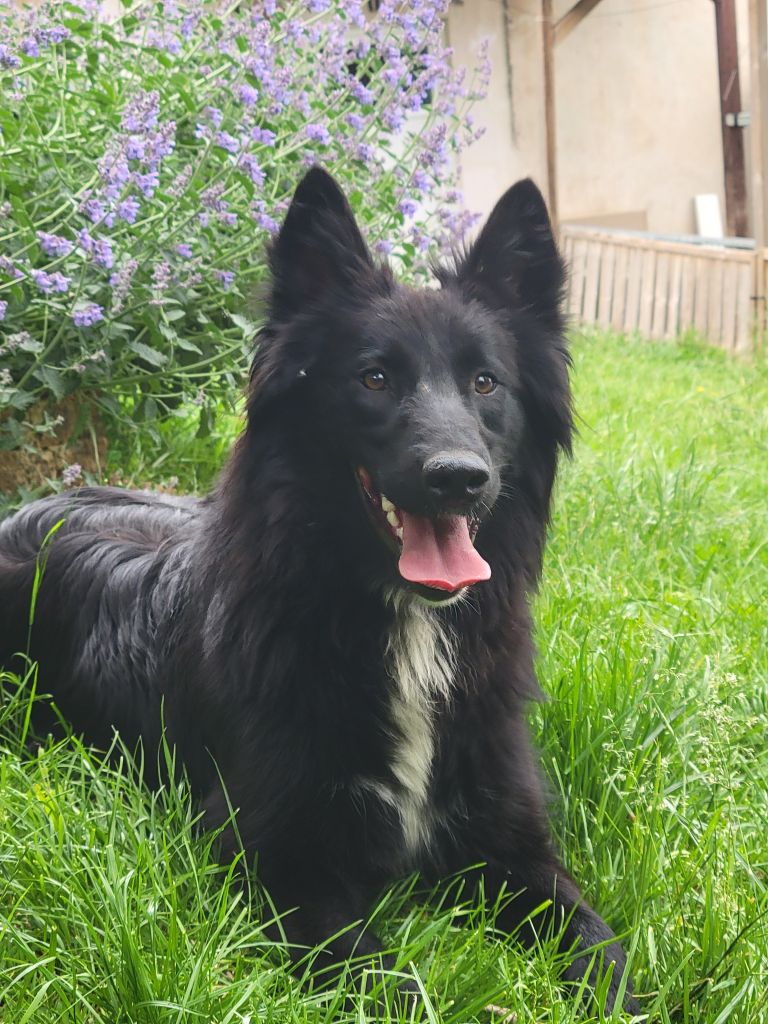 Publication : Des Abîmes Ardents 