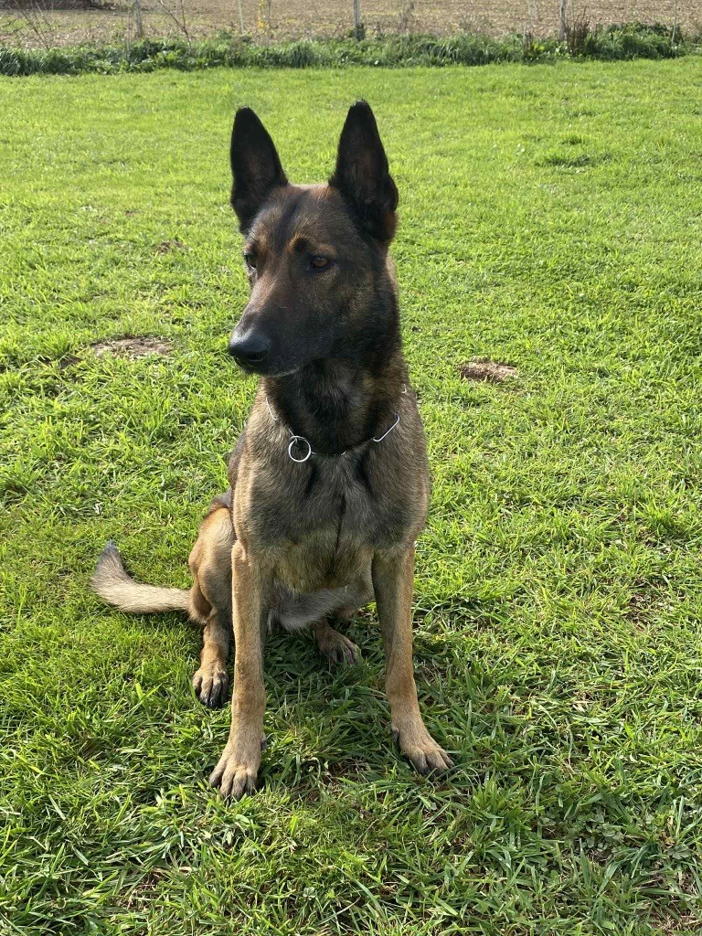 Publication : Du Hameau Des Nours 