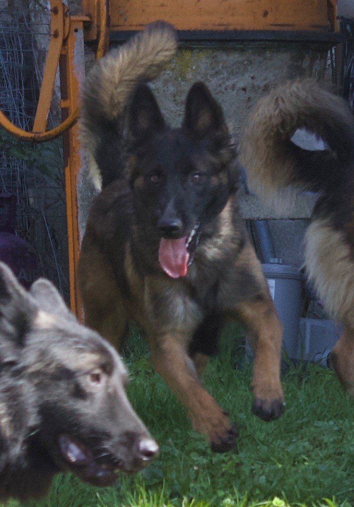 Publication : Du Royaume De B’Oxie 