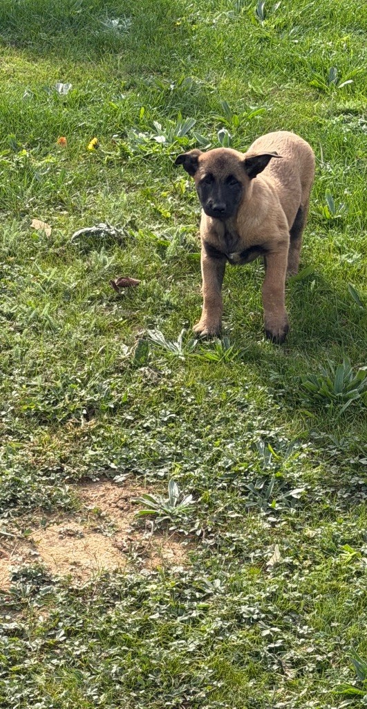 Publication : Du Hameau Des Nours 