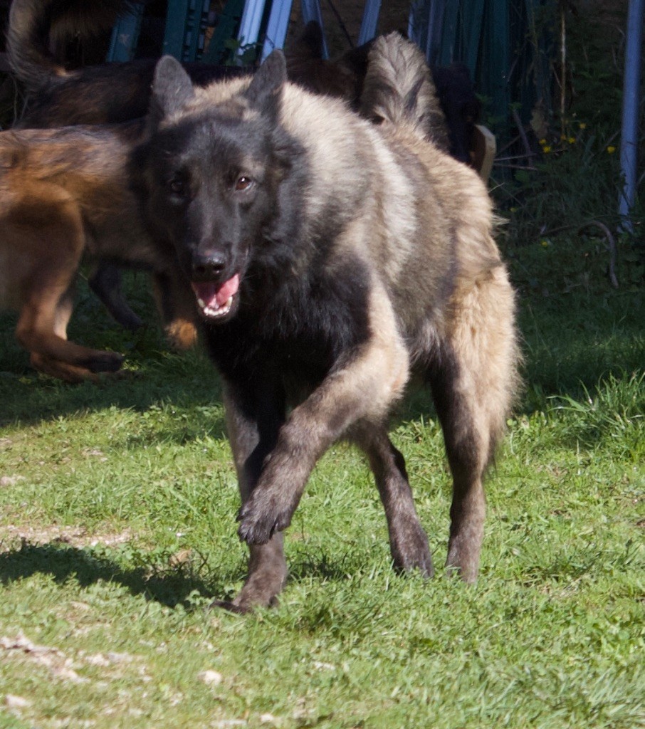 Publication : Du Royaume De B’Oxie 