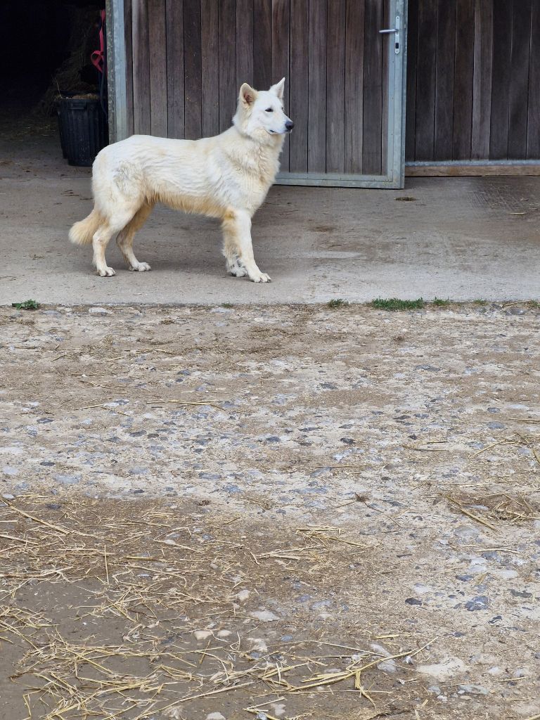 Publication : Les Pattes d'Eawy 