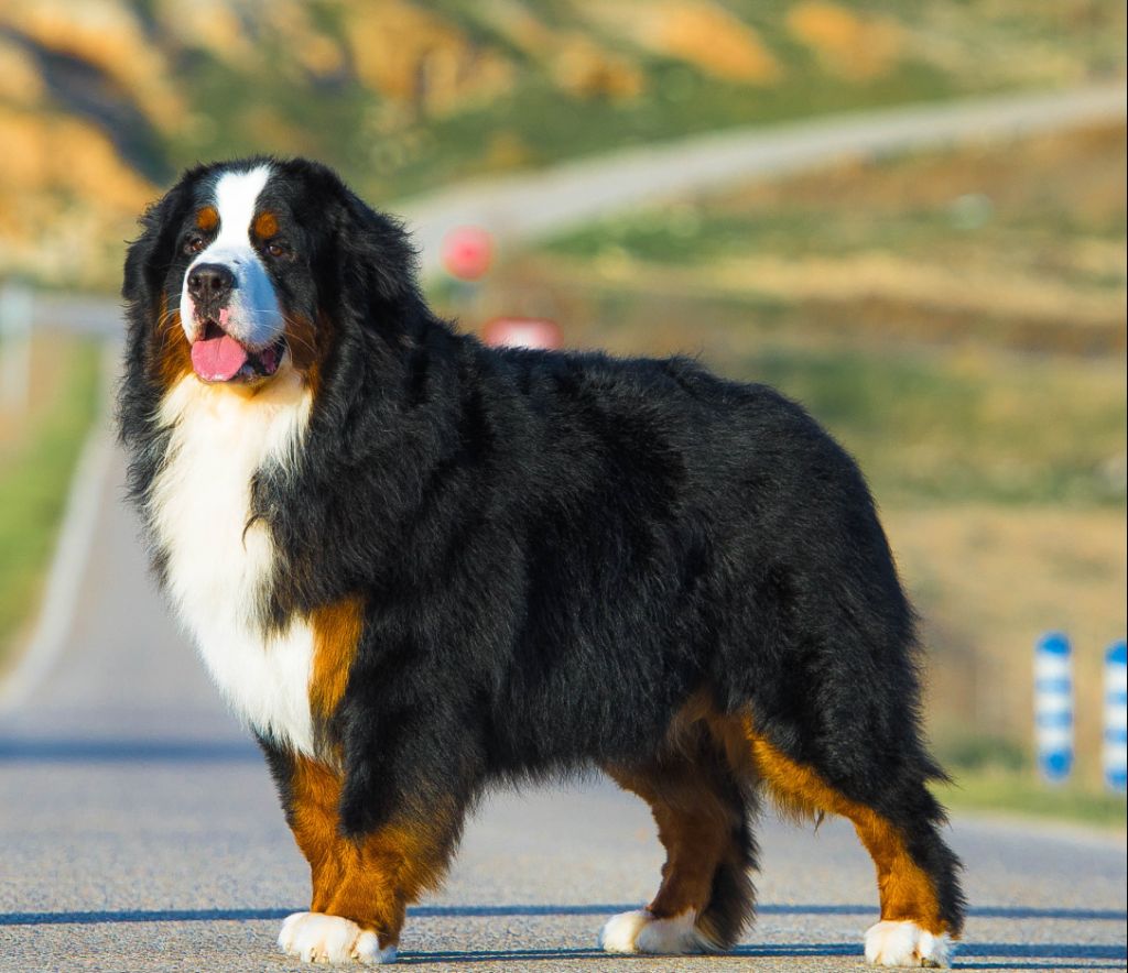 CH. devael Be water my friend