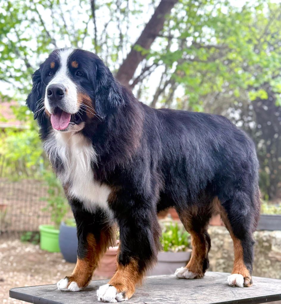 Publication : Du Hameau De Baika Auteur : Hameau de Baïka