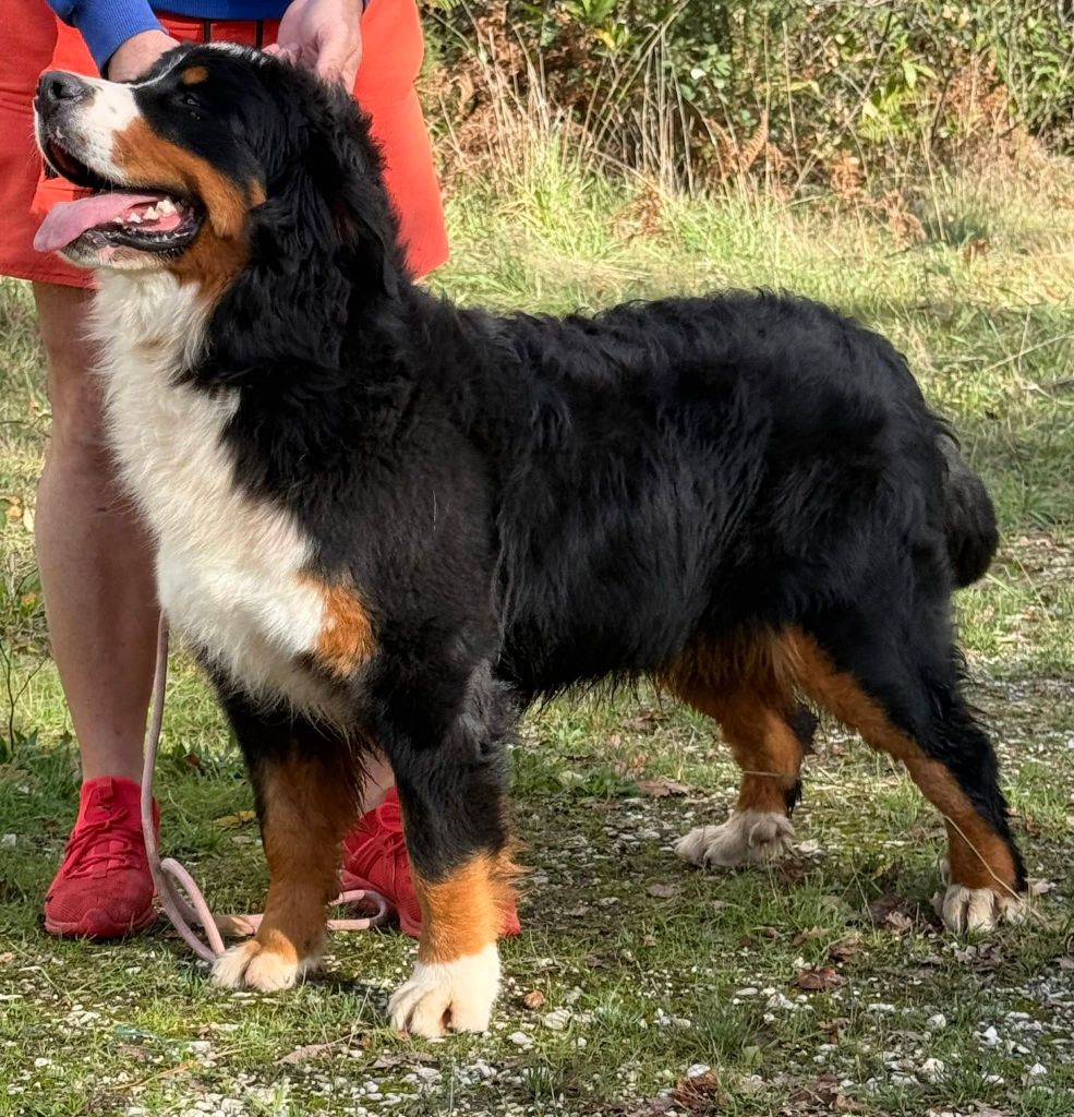 Publication : Du Hameau De Baika Auteur : Hameau de BaÃ¯ka