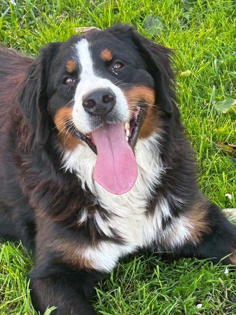 Publication : du Domaine du Lanthenay 