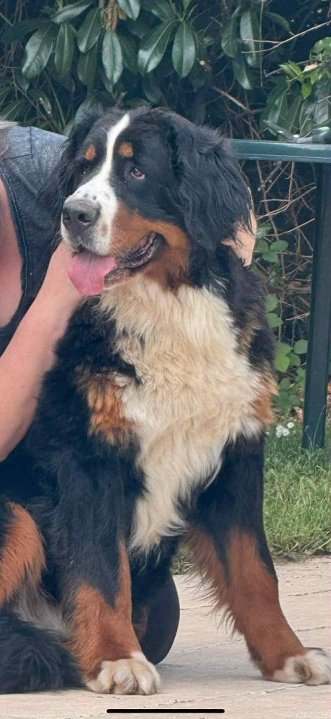 Publication : Du Hameau De Baika Auteur : Hameau de BaÃ¯ka