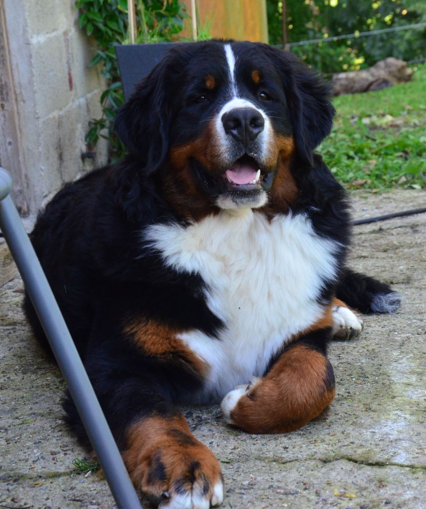 Publication : de La Vallée Du P'tit R'eve 