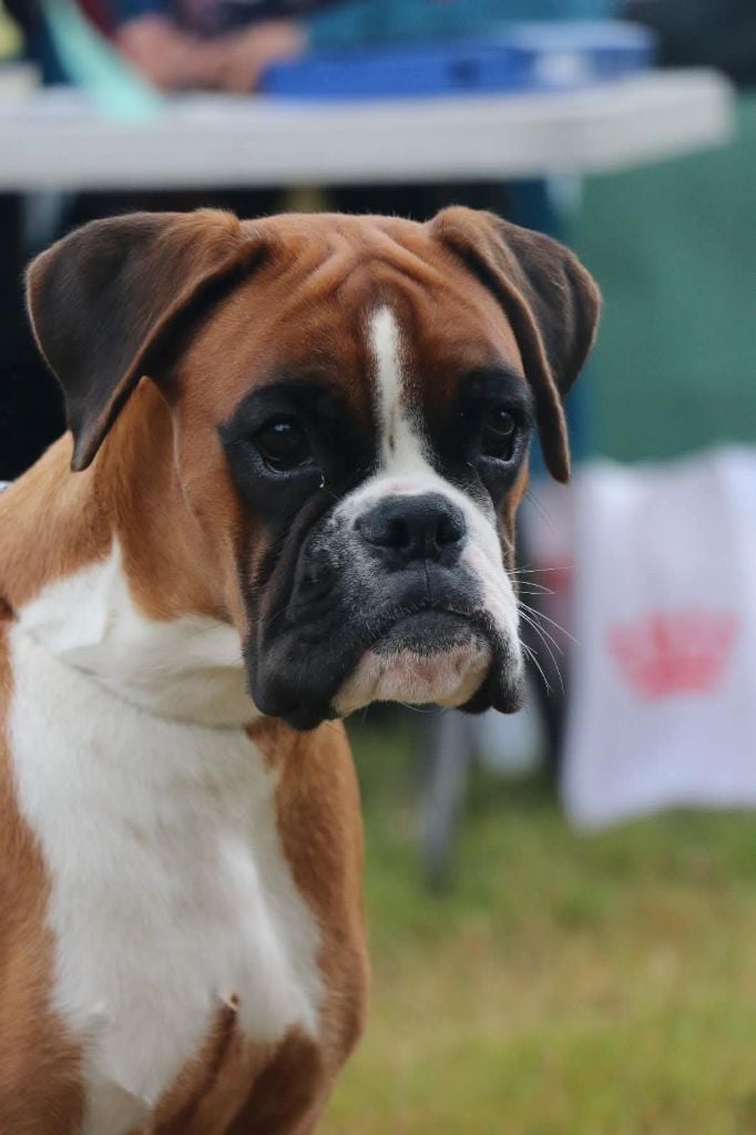 Publication : De la brevenne