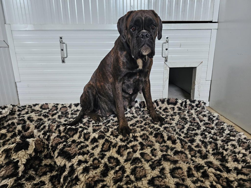 Publication : Du Soleil De L'aurion 