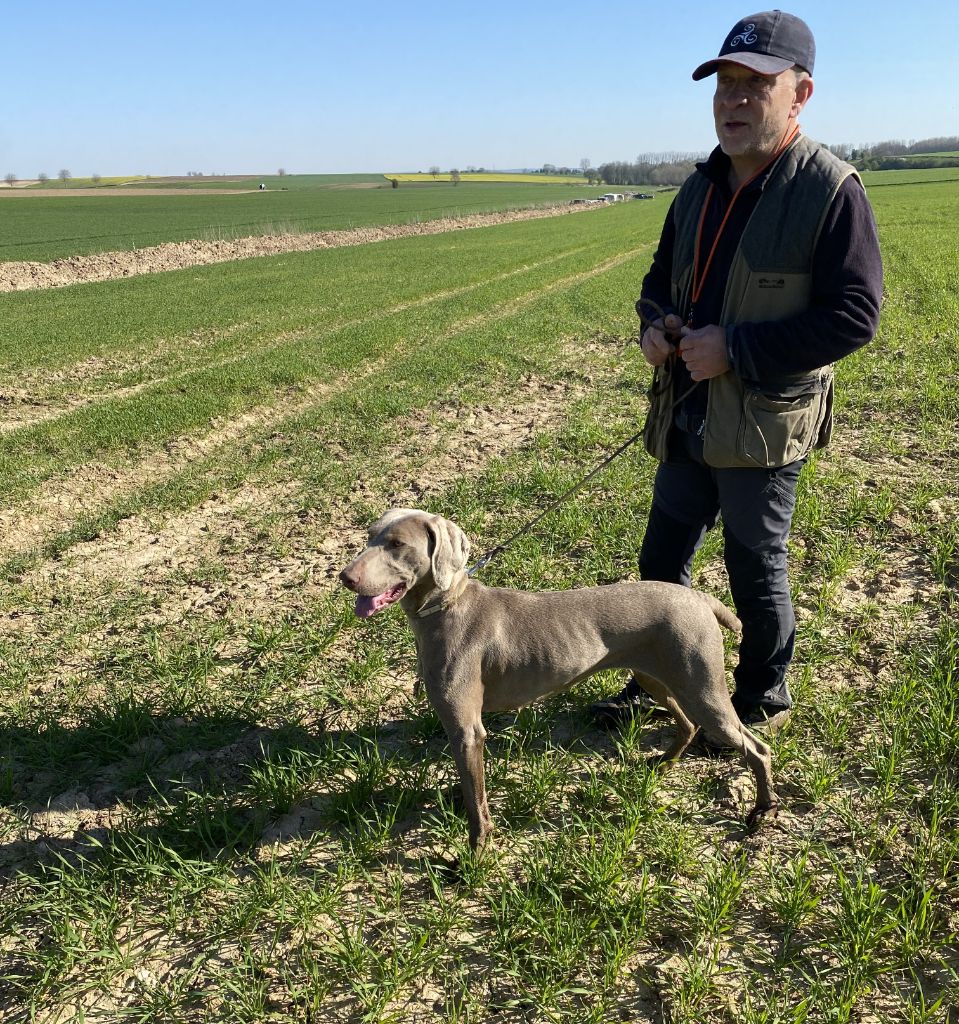 Publication : Des Plaines Quercussiennes Auteur : Vincent MAIEZZA