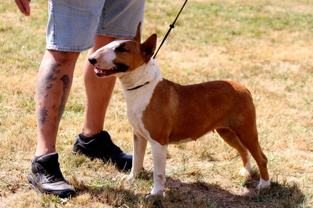 Publication : Old Legendary Blood 