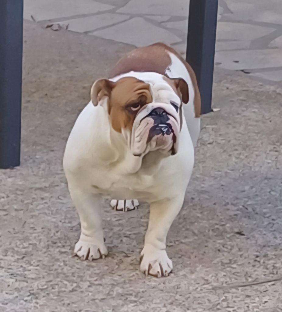 Publication : Des Terres De La Marquise 