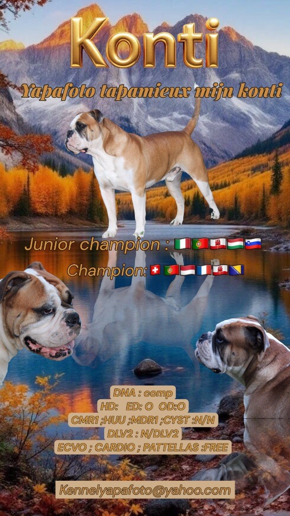 Publication : Yapafoto