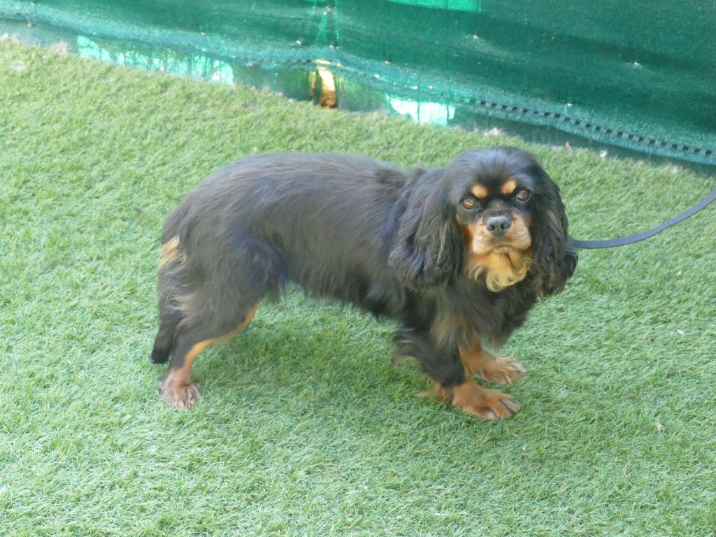 Publication : Du Temps Des Amazones Auteur : CHLOE RIBOT