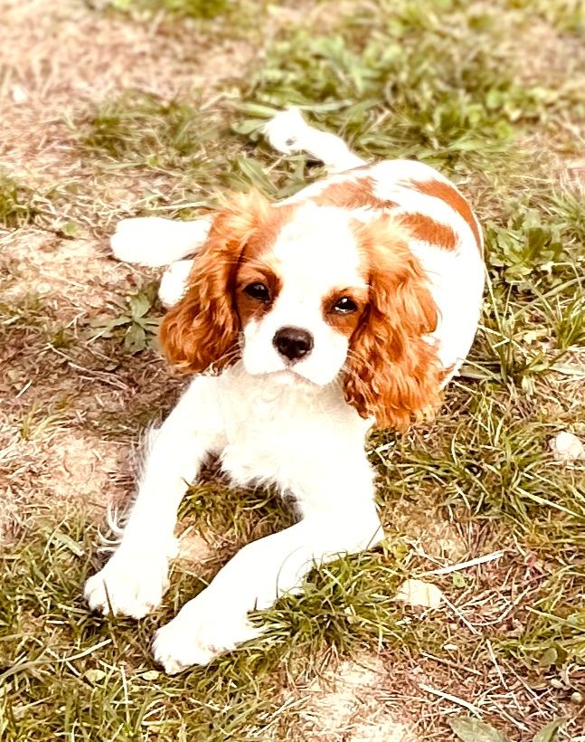 Publication : Du puits des sortileges 