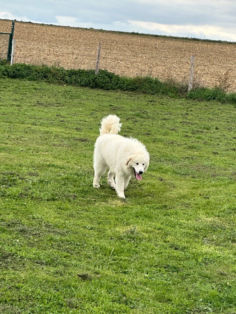 Publication : Du Hameau Des Nours 